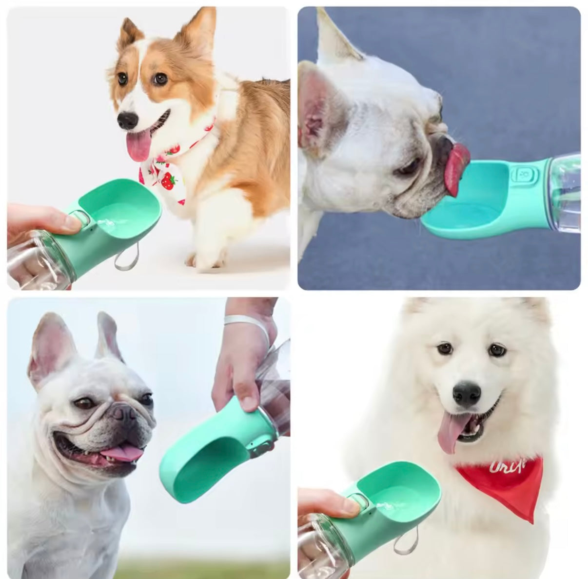 SipPup™ Portable Dog Water Bottle – Leakproof & Travel Friendly